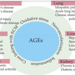 AGEs and the Aging Process: A Sweet and Bitter Connection