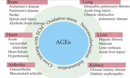 AGEs and the Aging Process: A Sweet and Bitter Connection