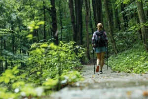 Walking in nature helps you fight stress, improves mood, and keeps you fit.